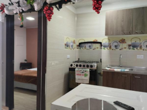 Apartamento sarita centro